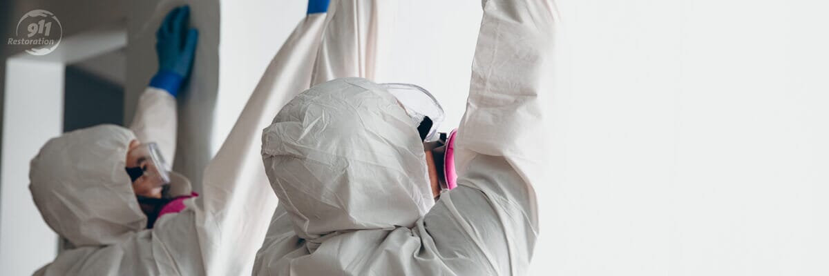 Mold Removal